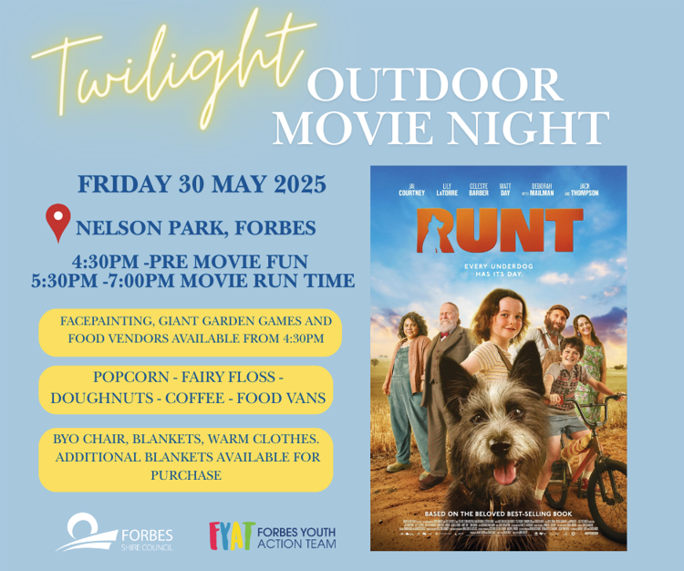 Twilight Outdoor Family Movie Night